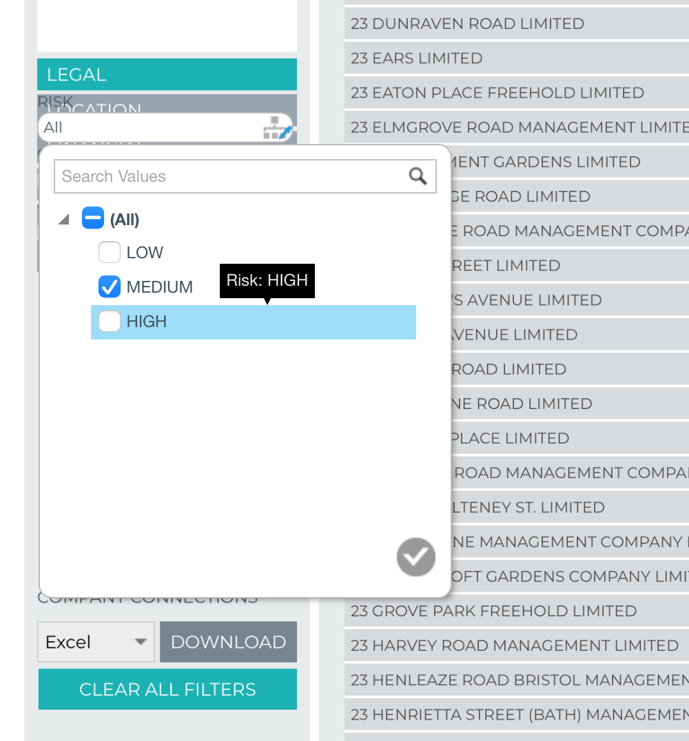 Ltd Company Check